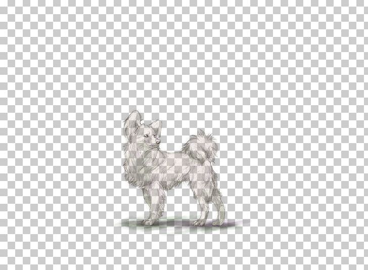 West Highland White Terrier Puppy Papillon Dog Jack Russell Terrier Dog Breed PNG, Clipart,  Free PNG Download