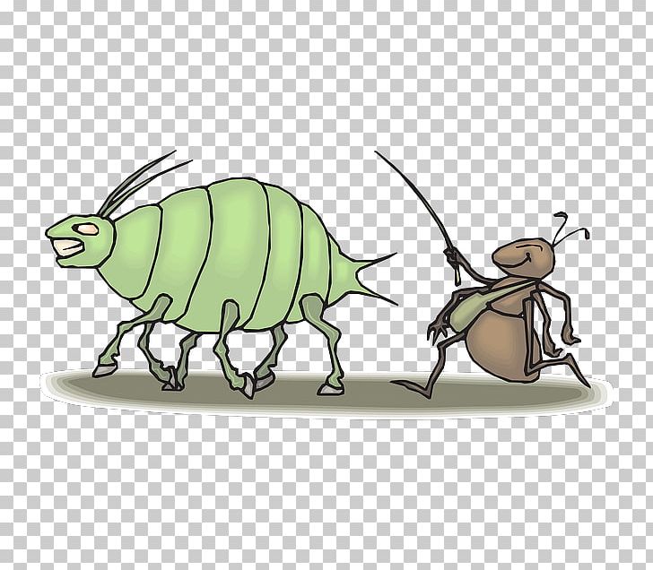 Ant Insect Aphid Animaatio Pest PNG, Clipart, Animaatio, Animals, Animation, Ant, Anticimex Free PNG Download