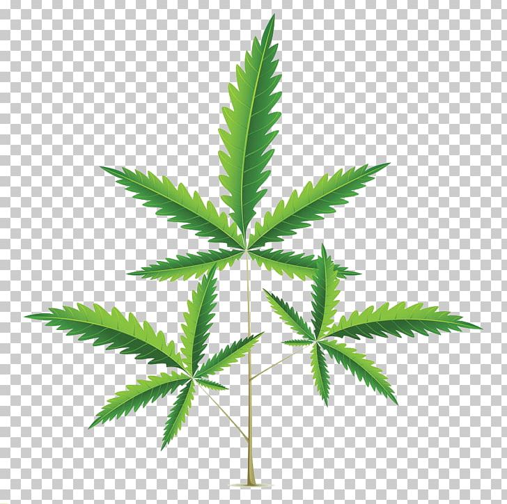 Cannabis Stock Illustration Illustration PNG, Clipart, Cannabidiol, Cannabis Leaves, Drug, Farm, Grass Free PNG Download
