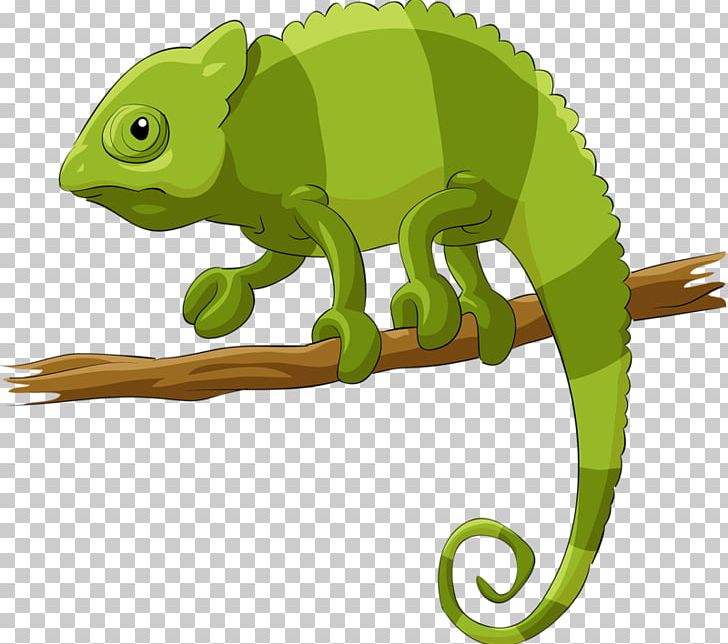 Chameleons Lizard Reptile Illustration PNG, Clipart, Animals, Cartoon, Chameleon, Chameleon Yellow, Color Chameleon Free PNG Download