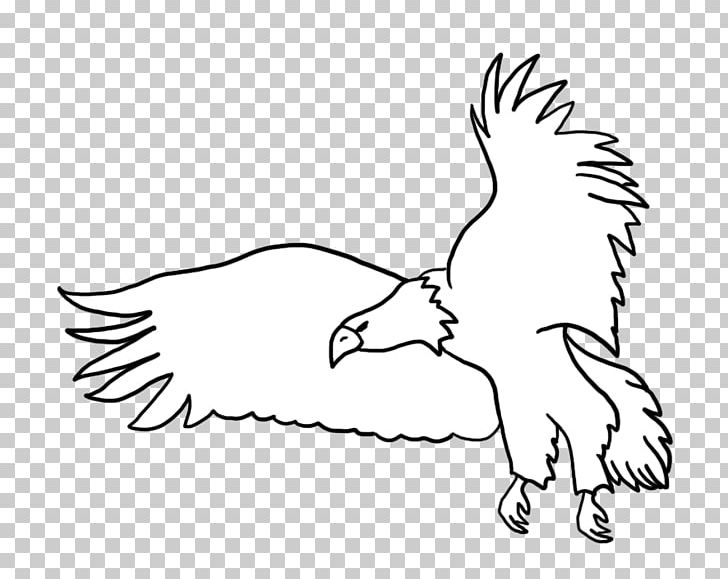 Chicken Drawing Line Art PNG, Clipart, Animals, Area, Arm, Beak, Bird Free PNG Download