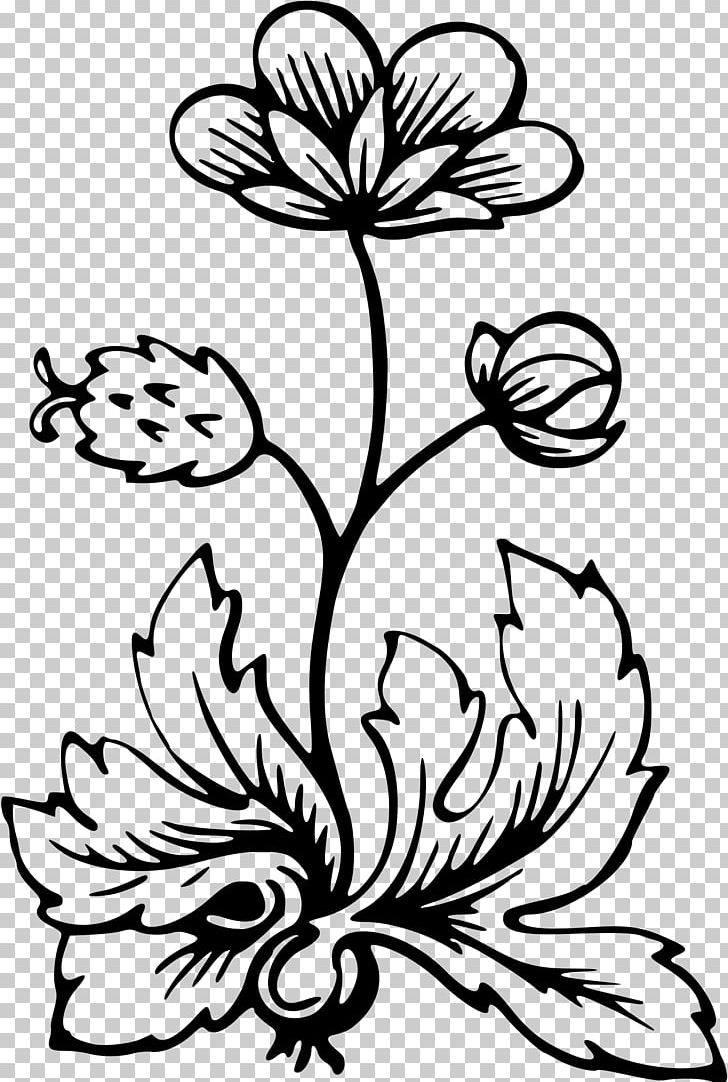 Flower Flora PNG, Clipart, Artwork, Barbwire, Black And White, Branch, Chrysanths Free PNG Download