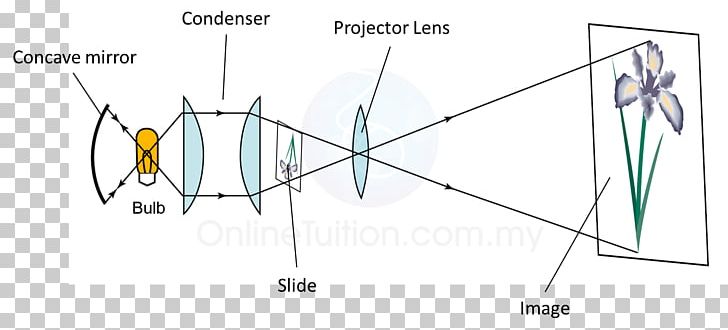 Form 5 Form 4 Center Of Curvature Concave Function Mirror PNG, Clipart, Angle, Area, Center Of Curvature, Concave Function, Convex Lens Free PNG Download