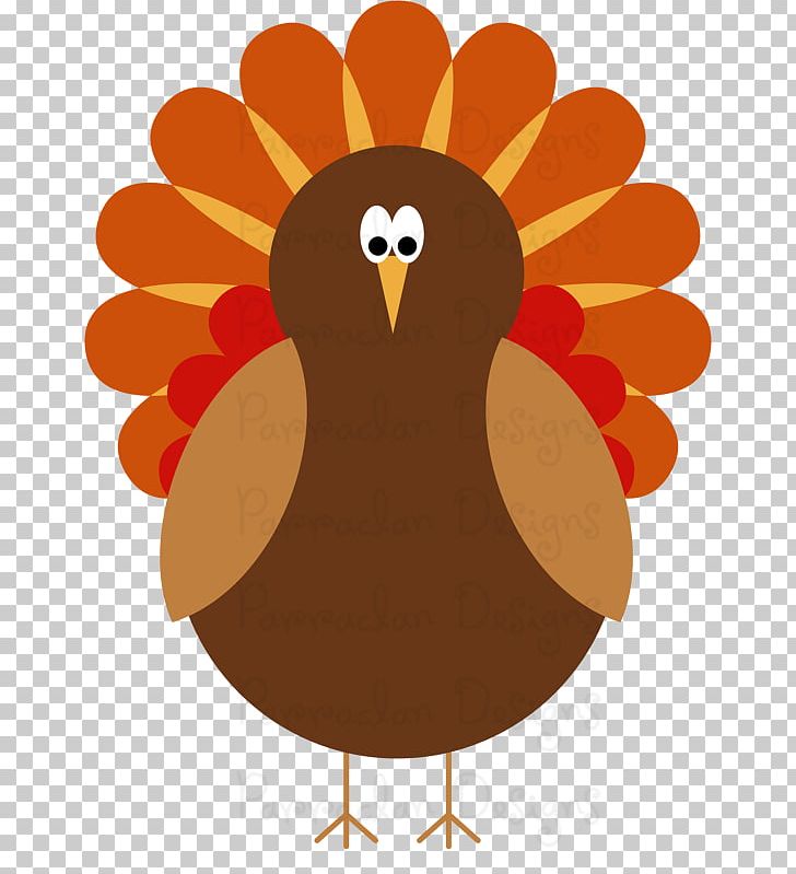 Turkey Meat Thanksgiving PNG, Clipart, Animation, Beak, Bird, Blog, Chicken Free PNG Download