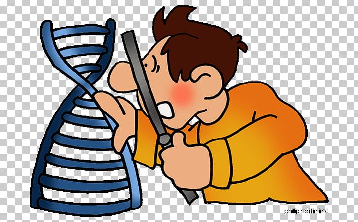 DNA Nucleic Acid Double Helix Science PNG, Clipart, Area, Arm, Art, Biology, Boy Free PNG Download