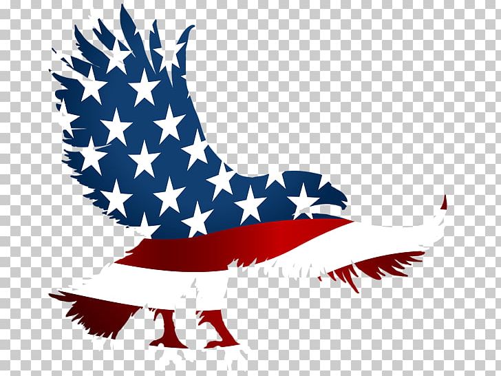 Flag Of The United States T-shirt American Eagle Outfitters PNG, Clipart, American Eagle Outfitters, Eagle, Flag, Flag Of The United States, Independence Day Free PNG Download