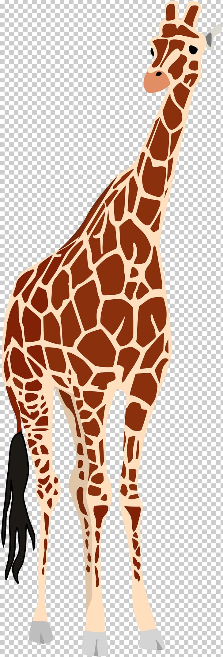 Giraffe Okapi PNG, Clipart, Animal, Animal Figure, Animals, Computer Icons, Download Free PNG Download
