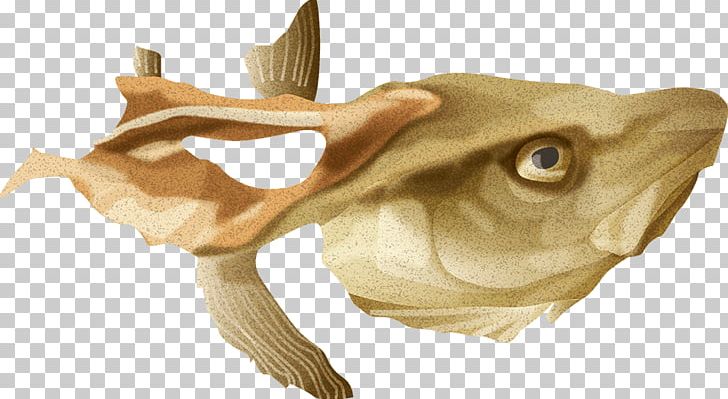 Greater Argentine Fish Argentina Salmon PNG, Clipart, Argentina, Dos, Dried Fish, Drying, Fauna Free PNG Download