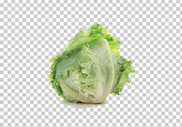 Lettuce Sandwich Leaf Vegetable Salad PNG, Clipart, Cabbage, Cauliflower, Chinese Cabbage, Cruciferous Vegetables, Food Free PNG Download