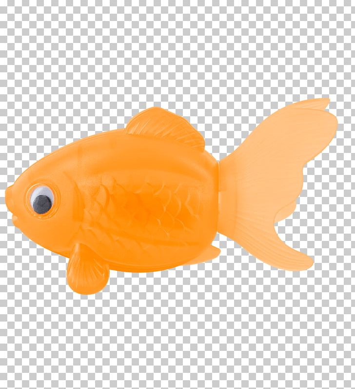 Pencil Sharpeners Colored Pencil Desk Goldfish PNG, Clipart, Alloprof, Animal Figure, Bony Fish, Bony Fishes, Colored Pencil Free PNG Download