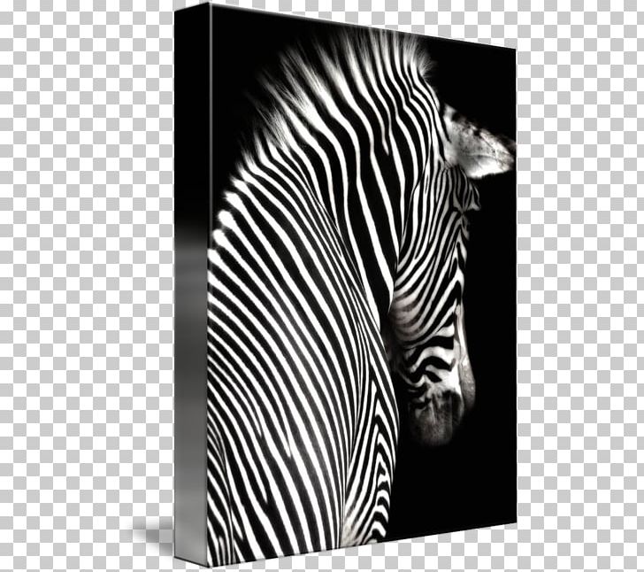 Zebra Sticker Printing Wall Decal Mural PNG, Clipart,  Free PNG Download