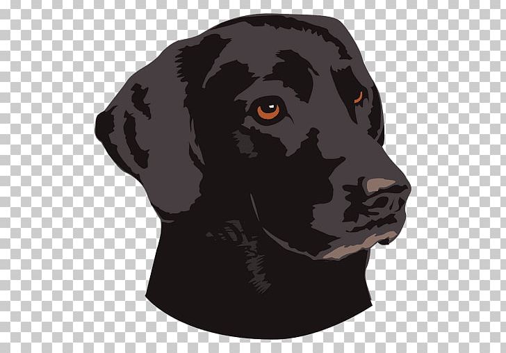 French Bulldog Llama Pet PNG, Clipart, Animal, Animals, Black, Black Dog, Bulldog Free PNG Download