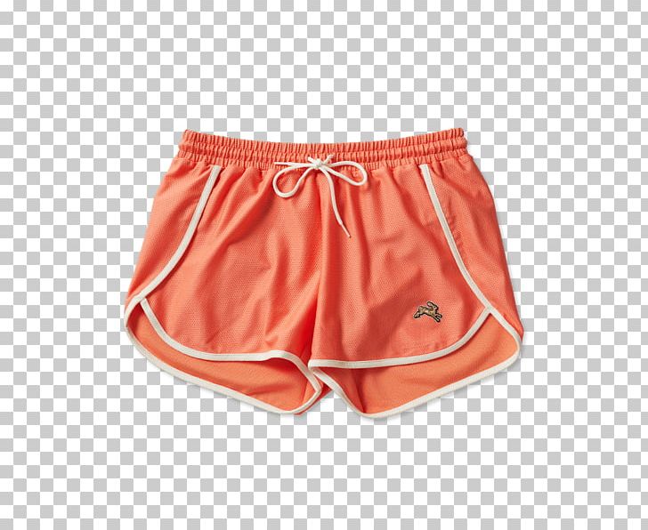 Underpants Swim Briefs Running Shorts Clothing PNG, Clipart,  Free PNG Download