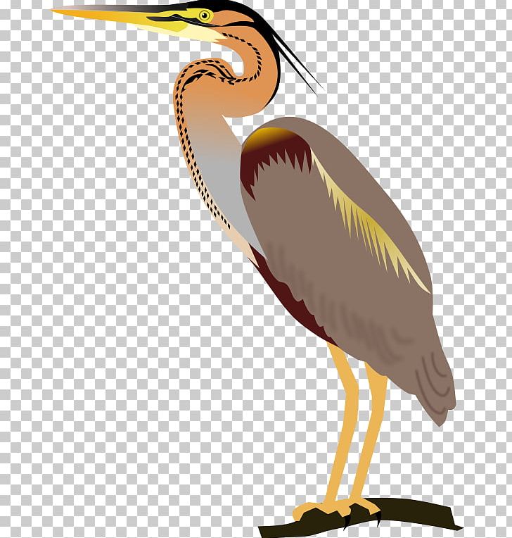 Beak Bird Purple Heron Western Swamphen Great Blue Heron PNG, Clipart, Animals, Ardea, Beak, Bird, Drawing Free PNG Download
