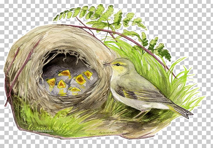 Bird Nest Artist PNG, Clipart, 30 September, Animals, Art, Artist, Beak Free PNG Download
