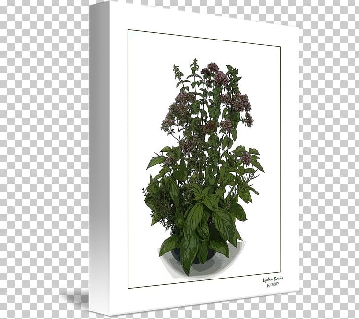 Flowerpot Houseplant Shrub Common Lilac PNG, Clipart, Common Lilac, Flower, Flowerpot, Herb, Houseplant Free PNG Download