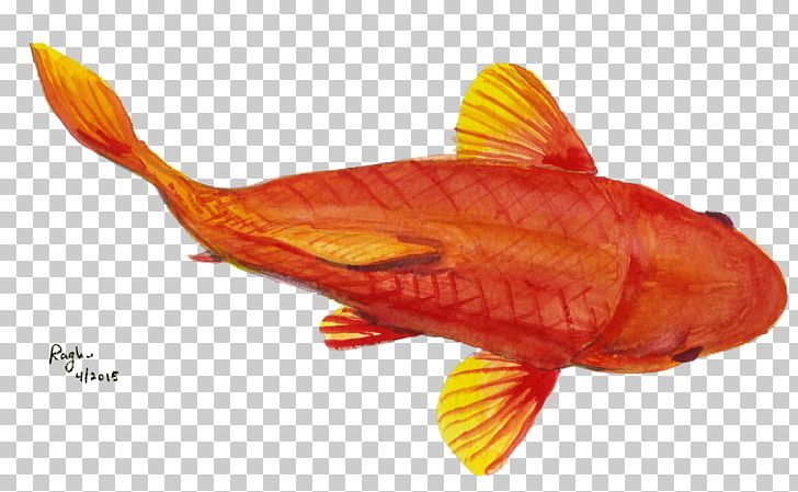 Goldfish Fauna PNG, Clipart, Elephant, Fauna, Fin, Fish, Goldfish Free PNG Download