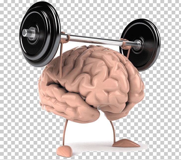 Pragati Brain Power Improvement Training Center. Cognitive Training Human Brain Exercise PNG, Clipart, Beyin, Brain, Cognition, Development Of The Nervous System, Health Free PNG Download