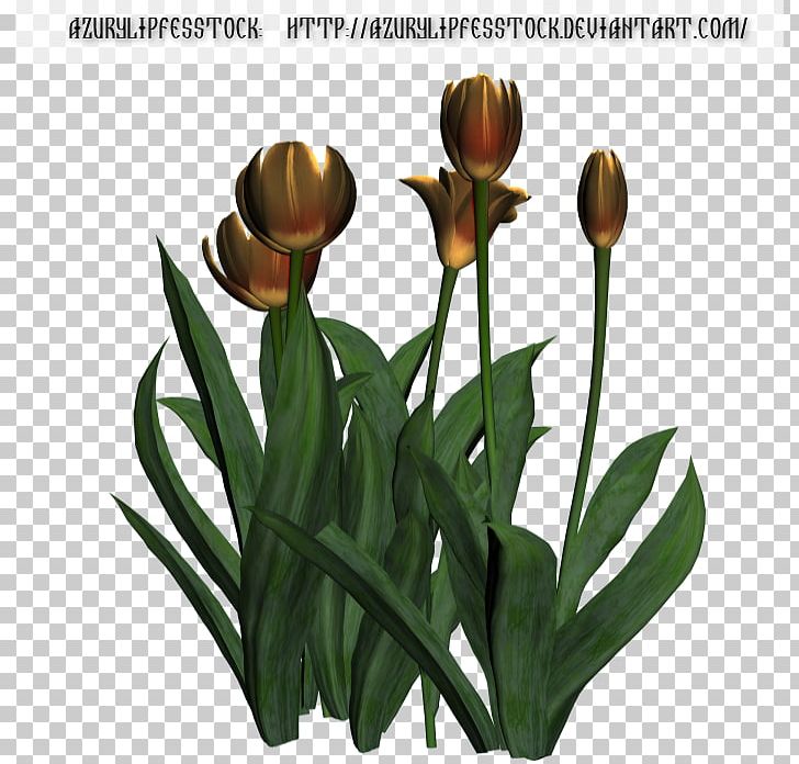 Tulip Flowerpot Plant Stem PNG, Clipart, 3d Clip Art, Flower, Flowering Plant, Flowerpot, Plant Free PNG Download