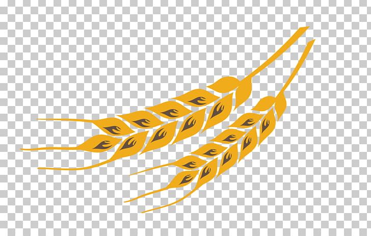 Yellow Wheat PNG, Clipart, Art, Color, Colorful Background, Color Pencil, Color Powder Free PNG Download