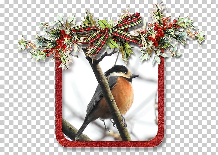 Digital Scrapbooking Christmas Day Scrapbook Kit Holiday PNG, Clipart, Beak, Bird, Branch, Brush, Christmas Day Free PNG Download