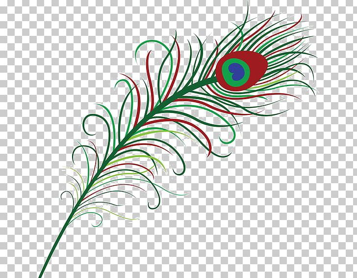 Graphics Feather Portable Network Graphics PNG, Clipart, Animals, Artwork, Clip, Download, Encapsulated Postscript Free PNG Download