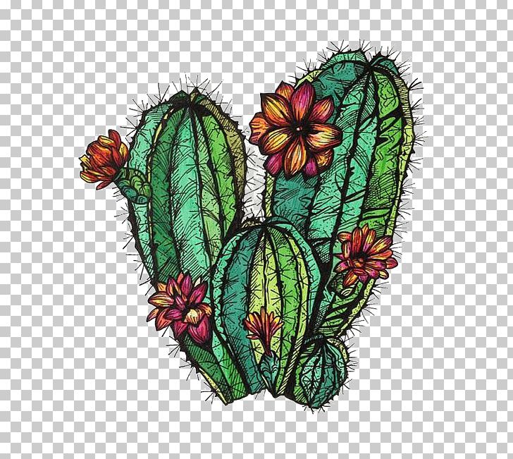 Cactaceae Drawing Painting PNG, Clipart, Butterfly, Cactus, Cactus Vector, Cartoon, Design Free PNG Download