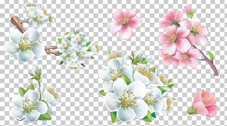 Cut Flowers PNG, Clipart, Blossom, Branch, Cherry Blossom, Cut Flowers, Download Free PNG Download