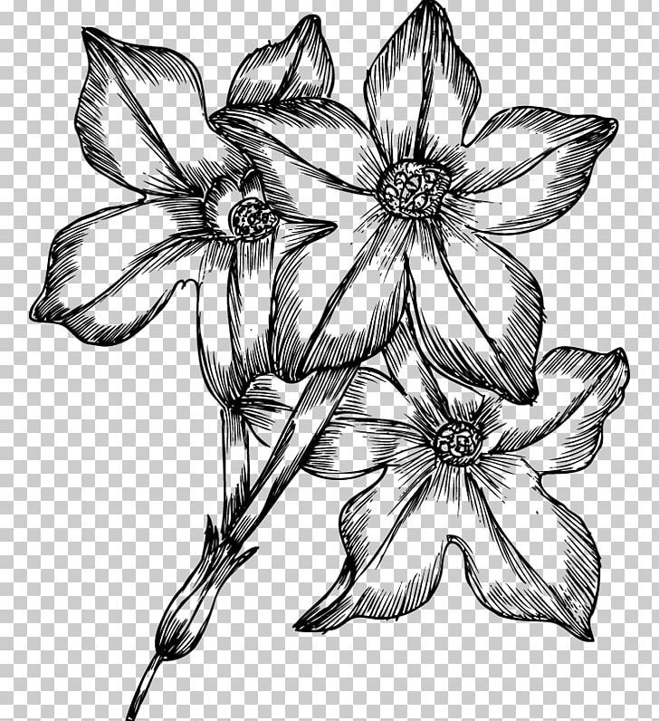 Drawing Flower PNG, Clipart, Art, Artwork, Black And White, Branch, Clip Art Free PNG Download