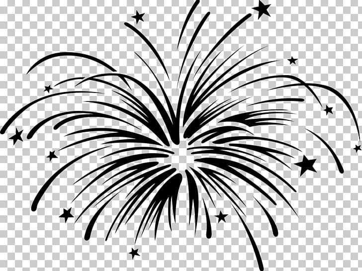 Fireworks Open Firecracker PNG, Clipart, Art, Black And White, Branch, Collage, Download Free PNG Download