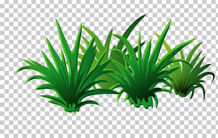 Leaf PNG, Clipart, Arecaceae, Arecales, Artificial Grass, Cartoon, Cartoon Grass Free PNG Download