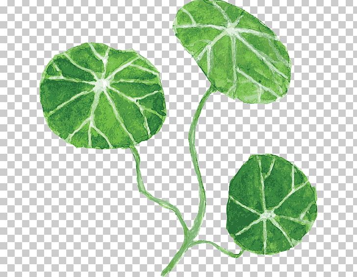 Painting Leaf PNG, Clipart, Annual Plant, Art, Canvas, Download, Drawing Free PNG Download