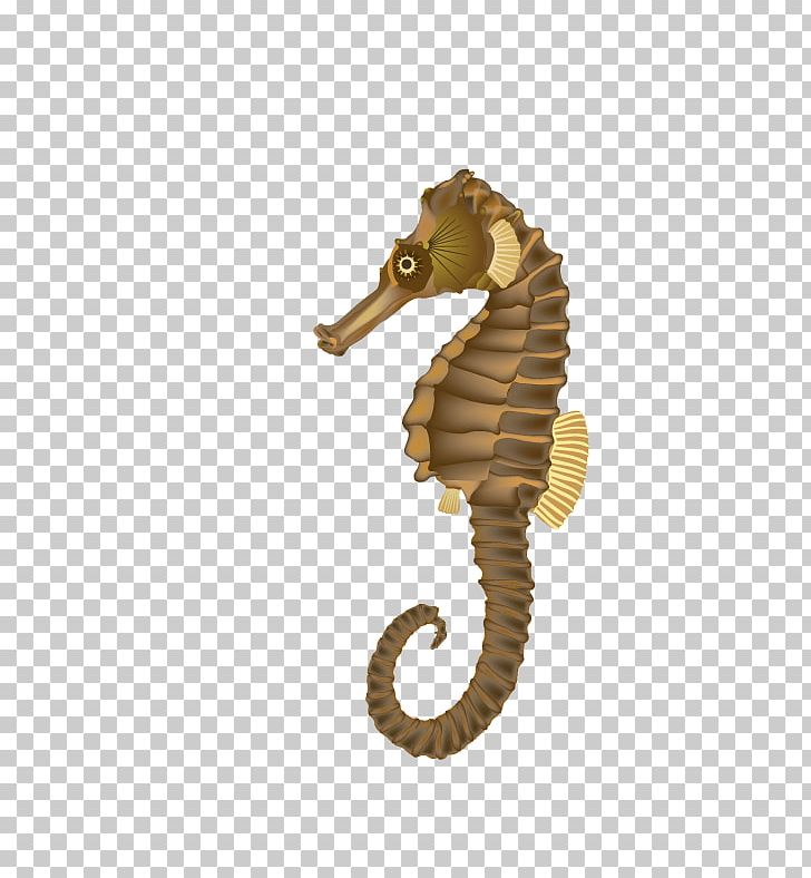 Seahorse PNG, Clipart, Free Content, Photography, Presentation, Royaltyfree, Sea Free PNG Download