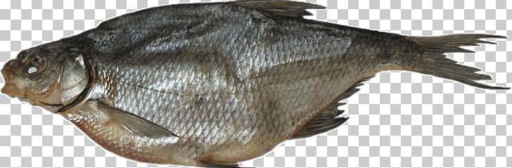 Smoked Fish Common Bream Food Drying Common Roach PNG, Clipart, Animals, Common Bream, Common Roach, Fish, Food Drying Free PNG Download