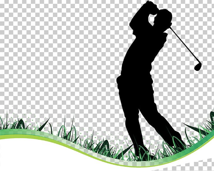 Golf Balls Golf Clubs Golfer Golf Course PNG, Clipart, Balls, Golf, Golf Ball, Golf Balls, Golf Club Free PNG Download