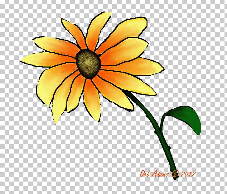 Common Sunflower Daisy Family Cut Flowers Plant PNG, Clipart, Artwork, Common Daisy, Common Sunflower, Cut Flowers, Daisy Free PNG Download