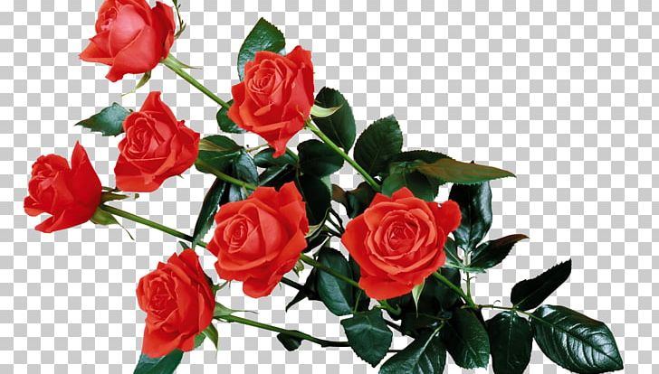 Desktop Rose Flower PNG, Clipart, Artificial Flower, Cut Flowers, Desktop Wallpaper, Display Resolution, Download Free PNG Download