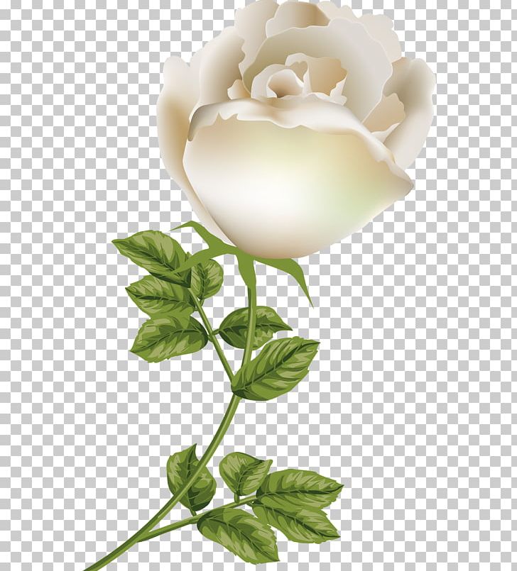 Garden Roses Floral Design Cut Flowers Petal PNG, Clipart, Cape Jasmine, Cute, Cut Flowers, Floral Design, Floristry Free PNG Download