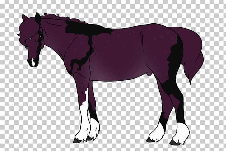 Mane Mustang Stallion Foal Colt PNG, Clipart, Bridle, Colt, Foal, Halter, Horse Free PNG Download