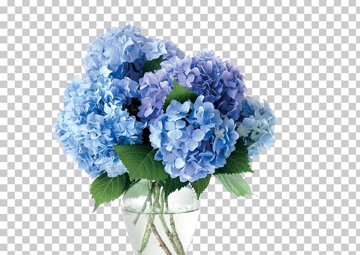 Vase Cut Flowers Hydrangea Blue PNG, Clipart, Annual Plant, Artificial Flower, Baby Blue, Blue, Ceramic Free PNG Download