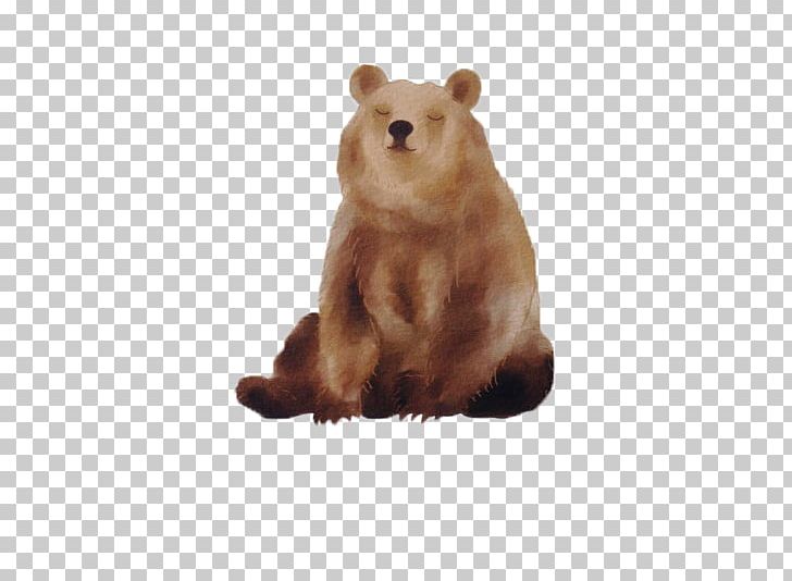 Baby Polar Bears Brown Bear American Black Bear PNG, Clipart, Animal, Animals, Baby Polar Bears, Bear, Beaver Free PNG Download