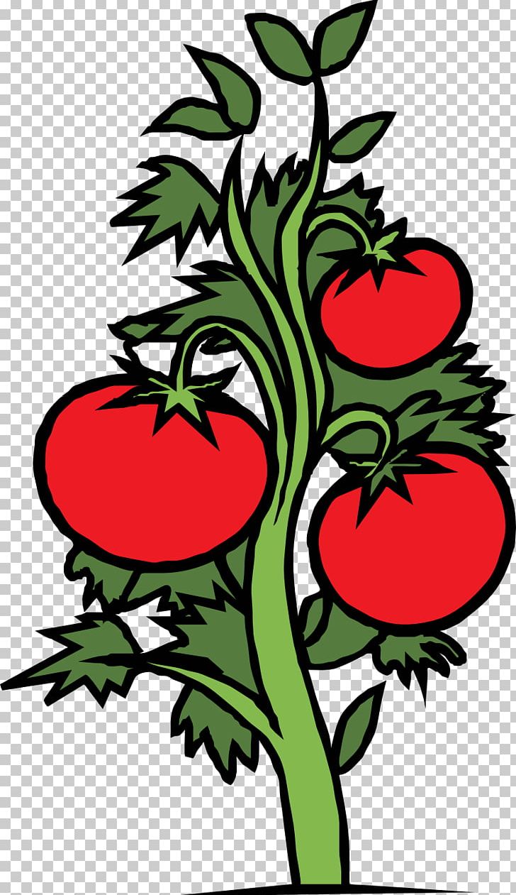 Cherry Tomato Plant Drawing PNG, Clipart, Artwork, Black And White, Branch, Cherry Tomato, Clip Free PNG Download