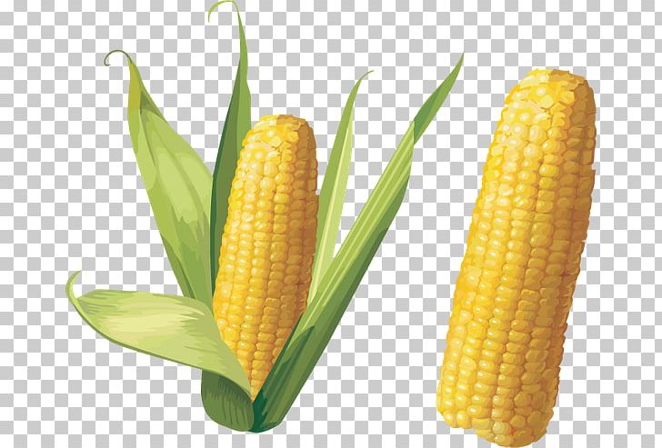 Corn On The Cob Flint Corn PNG, Clipart, Commodity, Computer Icons, Corn Kernels, Corn On The Cob, Desktop Wallpaper Free PNG Download