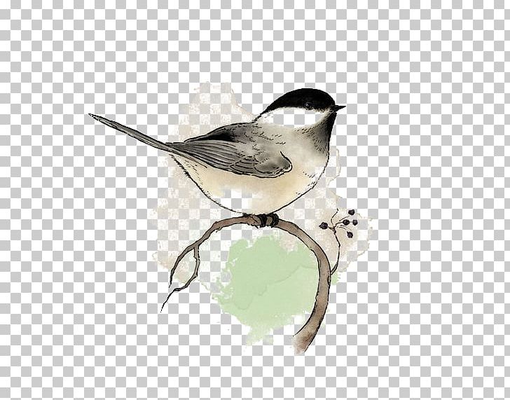 Birds PNG, Clipart, Beak, Bird, Bird Food, Bird Supply, Blackcapped Chickadee Free PNG Download