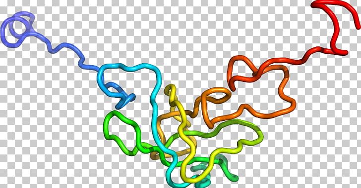 Body Jewellery Organism Line PNG, Clipart, Body Jewellery, Body Jewelry, Jewellery, Line, Miscellaneous Free PNG Download
