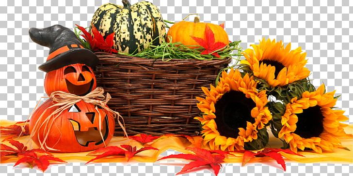 Halloween Harvest Trick-or-treating Autumn Jack-o'-lantern PNG, Clipart, Autumn, Basket, Calabaza, Carving, Cucurbita Free PNG Download