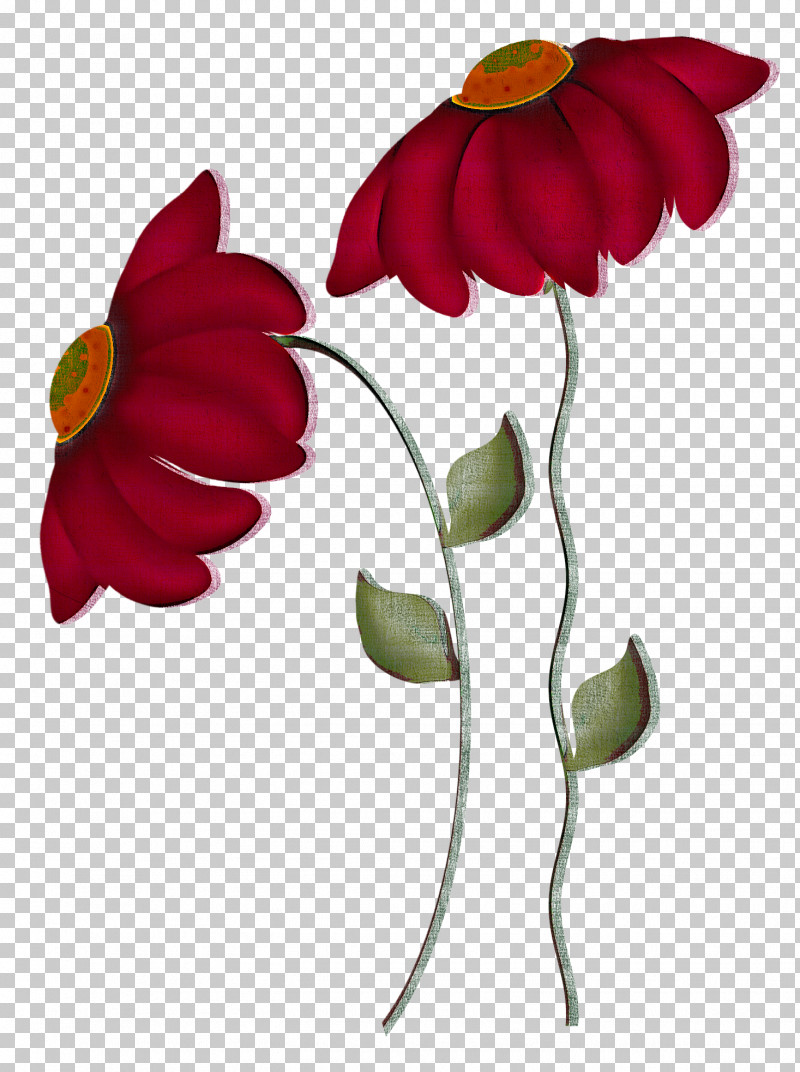 Flower Petal Plant Pedicel Leaf PNG, Clipart, Anthurium, Flower, Herbaceous Plant, Leaf, Pedicel Free PNG Download