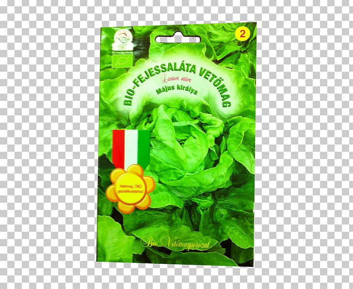 Bok Choy Leaf Vegetable Főzelék Plant Stem PNG, Clipart, Bok Choy, Brassica Oleracea, Celery, Chard, Flower Free PNG Download