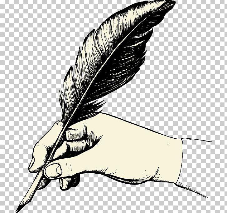 Feather Paper Quill Pen PNG, Clipart, Animals, Arm, Beak, Bird, Black And White Free PNG Download