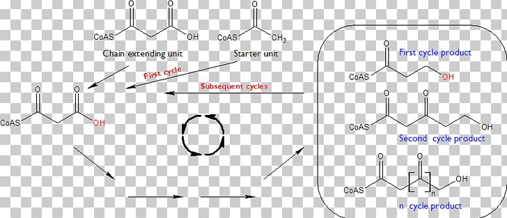 Line Point Angle PNG, Clipart, Angle, Area, Circle, Diagram, Line Free PNG Download